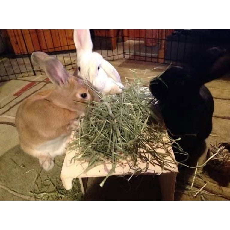 Small Pet Select 2nd Cutting Timothy Hay, 25 lbs photo 2