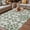 Green, variant on Sage Green Outdoor Rug for Patio/Deck/Porch, Non-Slip Large Area Rug 6 x 9 Ft, Retro Abstract Morocco Geometric Texture Indoor Outdoor Rugs Washable Area Rugs, Reversible Camping Rug Carpet Runner