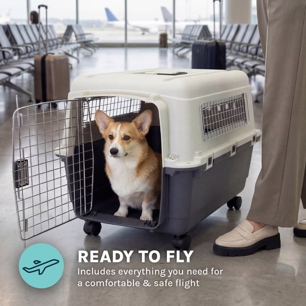 SportPet Designs Airline Approved Plastic Dog Kennel with Wheels