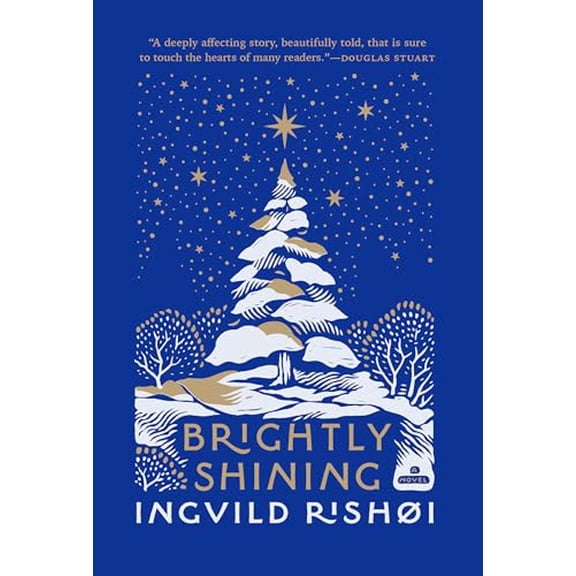 Pre-Owned Brightly Shining (Hardcover) 0802163491 9780802163493