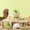 💖 brown_Hot#2720, variant on Blaxill Hamster Chew Toy, Pet Hideout, Cage Decor, Small Animal Accessories, Plastic Brown 3.23in, For Rodent Enclosures