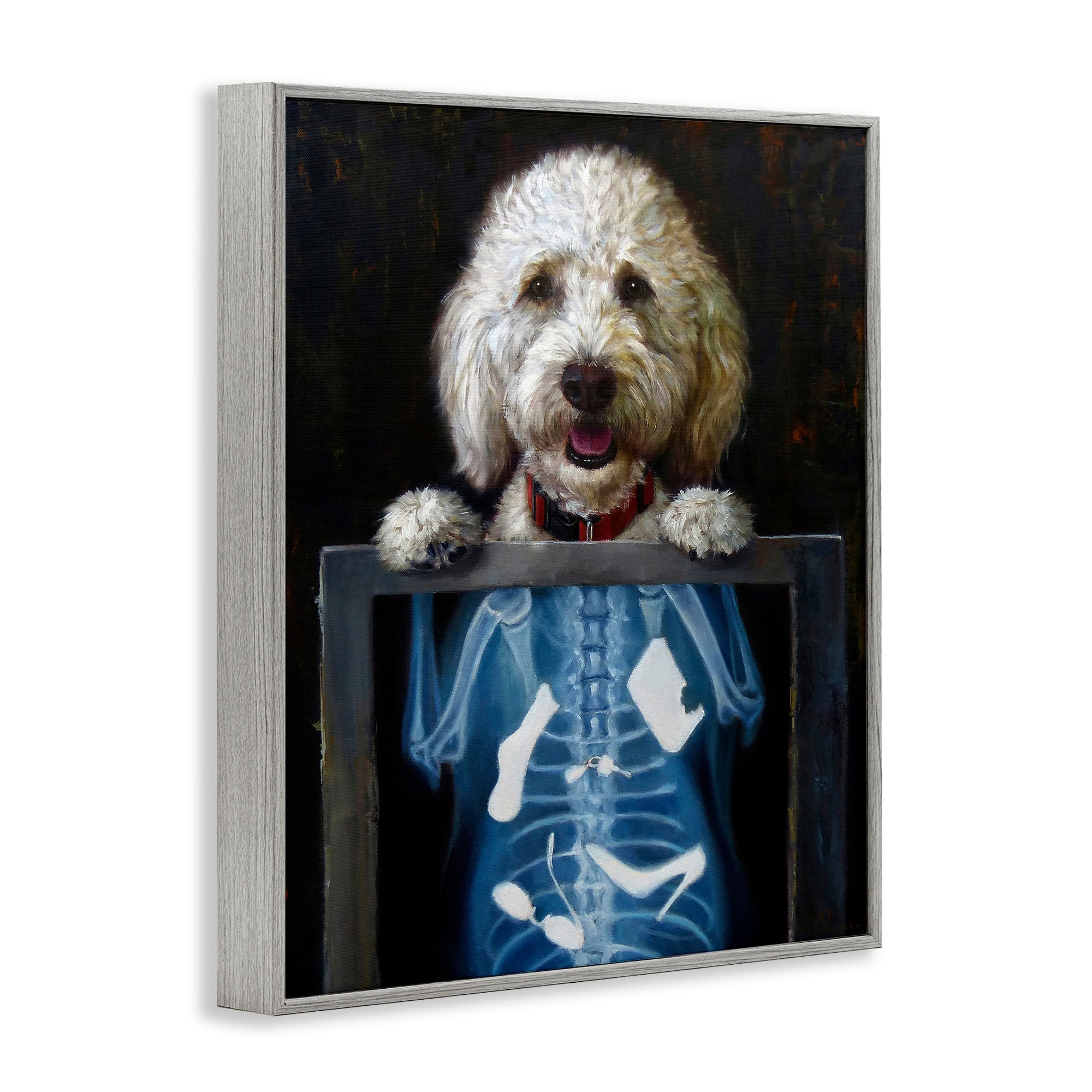 Stupell Industries Funny Dog X-Ray Snacks Animals & Insects Painting Gray Framed Art Print Wall Art