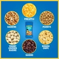 Planters Tropical Fruit & Nut Single Serve Trail Mix with Roasted