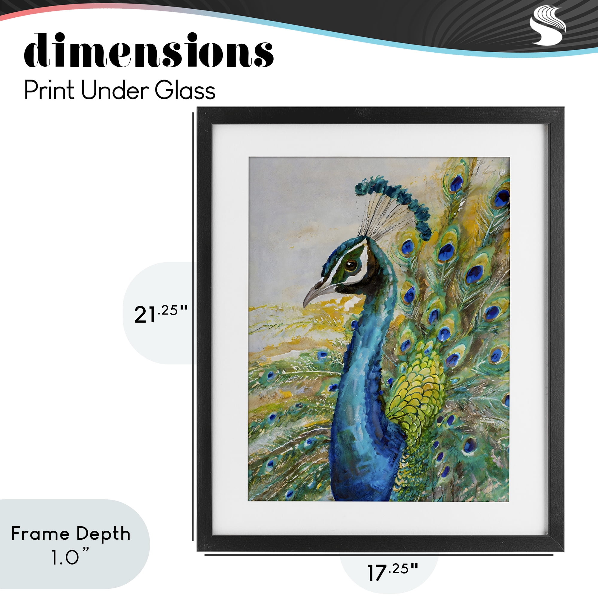 Stupell Industries Regal Blue Peacock Feathers Black Framed Print Under Glass, design by Creative Studio