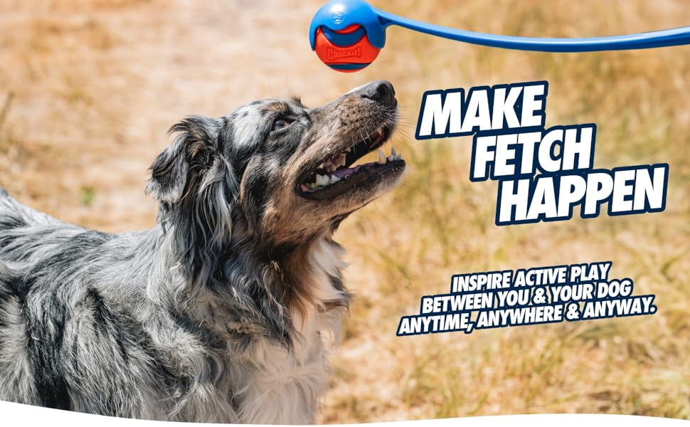 Chuckit! Medium Classic Fetch Ball Launcher Dog Toy