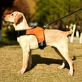 thumbnail image 3 of K-shaped Luminous LED Harness For Pet Dog Chest Harness For Medium And Large Dogs Night Travel, 3 of 5