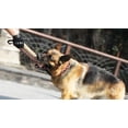 thumbnail image 1 of Tal Dog Training Bite Toy Dog Pudding Yute Pudding Masticar Stick con 2 asas Dog Training Pulling Game (borde rojo), 1 of 2