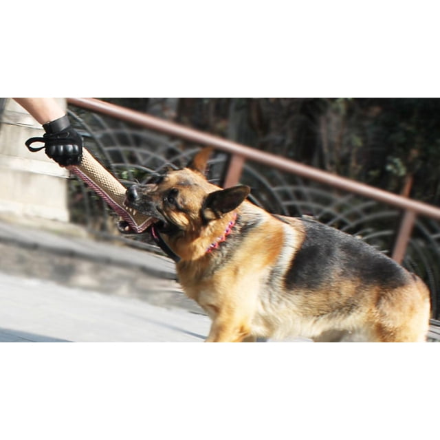 Tal Dog Training Bite Toy Dog Pudding Yute Pudding Masticar Stick con 2 asas Dog Training Pulling Game (borde rojo)