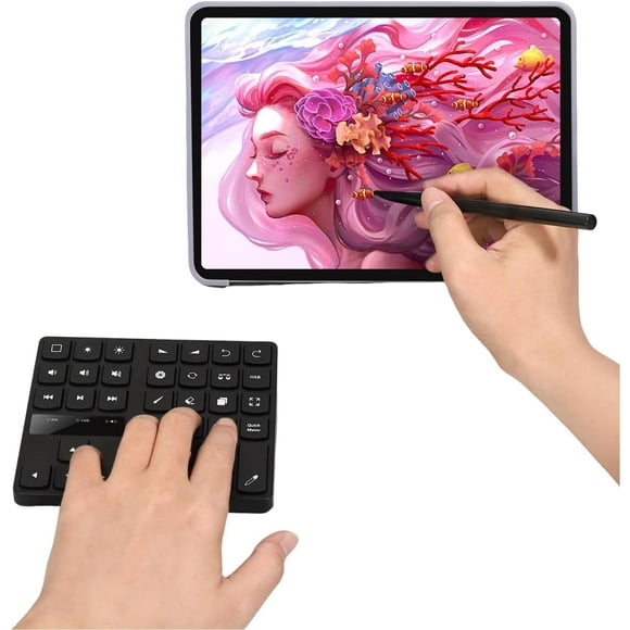Hongkaii Keyboard for Procreate, Keyboard with 35 Shoutcuts, One Handed Ergonomic Keyboard for Procreate and Drawing Shortcuts for , for OS X CA710-6583