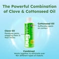 thumbnail image 7 of BugMD Ant Killer & Bug Spray Concentrate - Indoor Cockroach and Roach Killer, Spider Spray for Home, Fly and Insect Defense, Essential Oils, Plant-Powered, Eco-Friendly Pest Control - 3.7 Oz, 7 of 7
