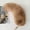 toys for teens, variant on Plush Tail Keychain Toy Accessory For Teens And Fashion, Soft Faux Fur Tail With Durable Metal Keyring Clip For Easy Attachment To Bags, Purses, Or
