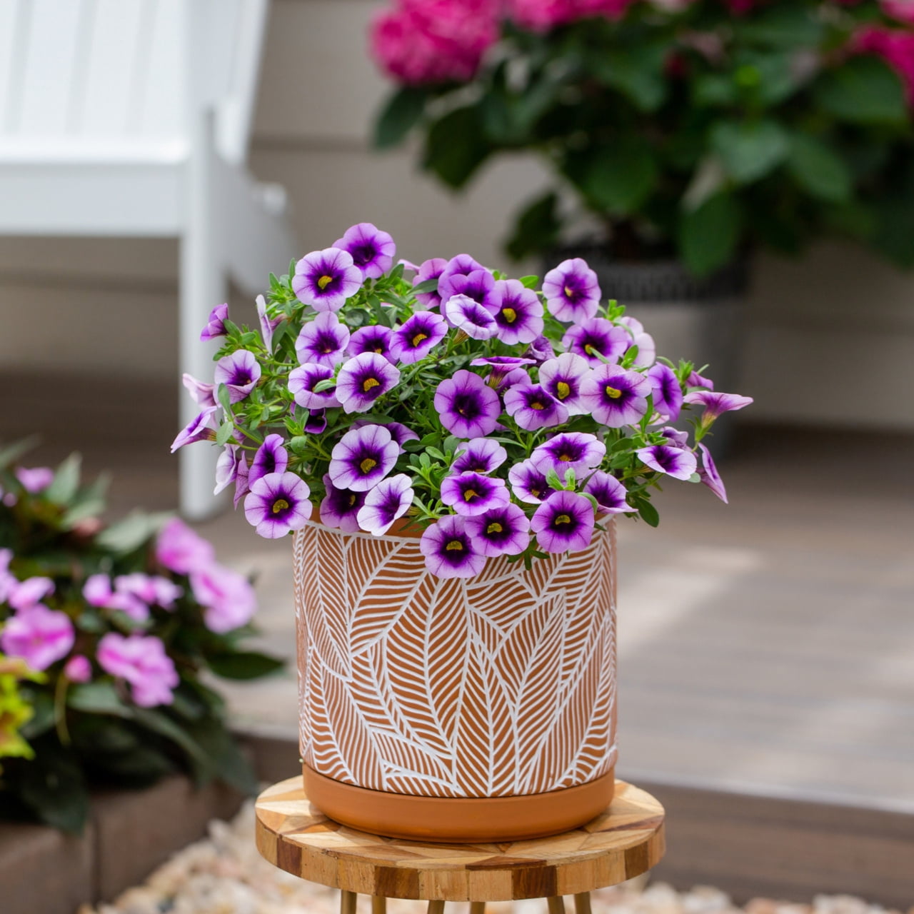 Proven Winners 2QT BlueCalibrachoa Live Annual Plant Sun 3-Pack