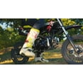 thumbnail image 7 of TAO MOTOR New DB-14 110CC Kids Dirt Bike with Automatic Engine Kick Start,Red, 7 of 7