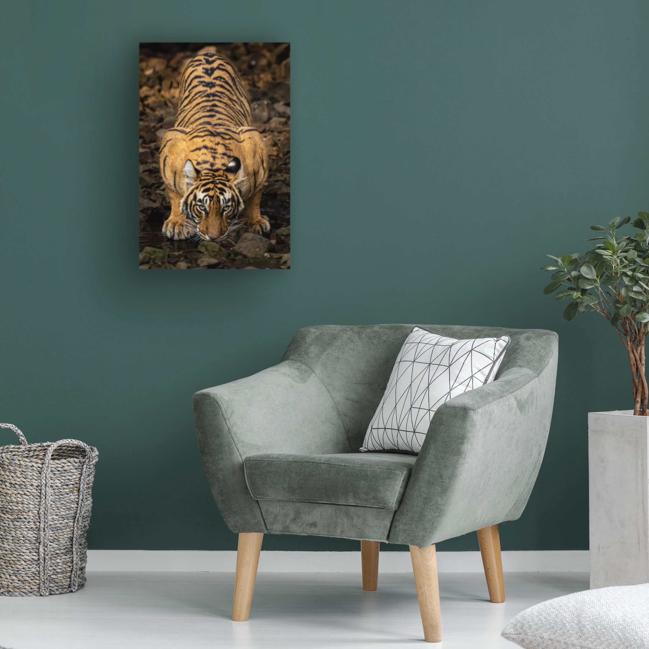 Trademark Fine Art Yogesh Bhatia Direct to the eyes Canvas Wall Art