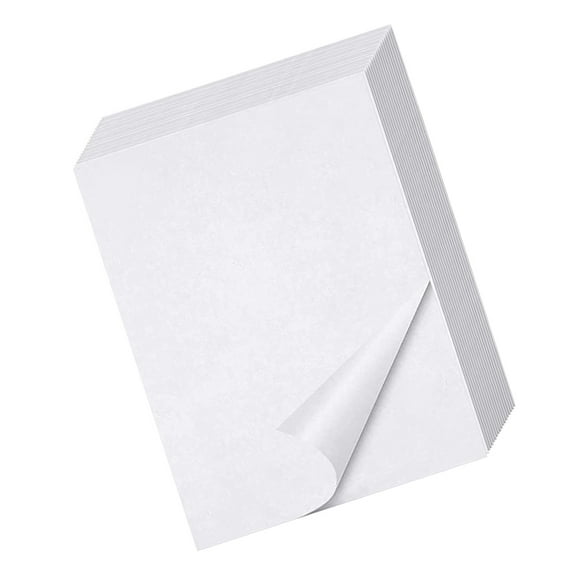 Eease 21 cm x 29.7 cm A4 Paper (20 Sheets)