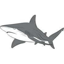 Wall Design Pieces Shark Fish Ocean Sea Water Swimming Animal Boy Girl Children Kids Kitchen 10x30"