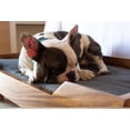 thumbnail image 4 of Cama para perro Atmos Homeware Kanxa Madera de Parota Sólida Cojín de Espuma Poliuretano Cubierta Poliéster Tamaño Mediana, 4 of 7