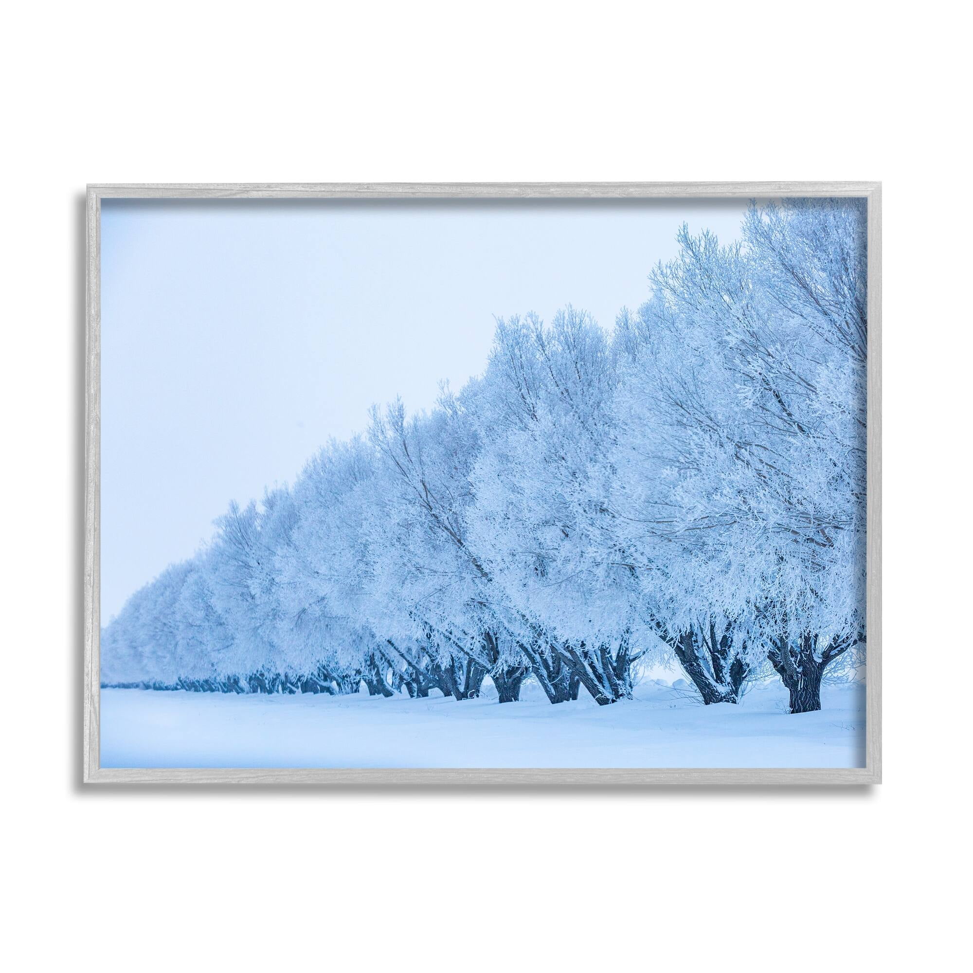 Stupell Industries Winter Tree Grove Snow Covered Branches Photography Photograph Gray Framed Art Print Wall Art, Design by Steve Smith