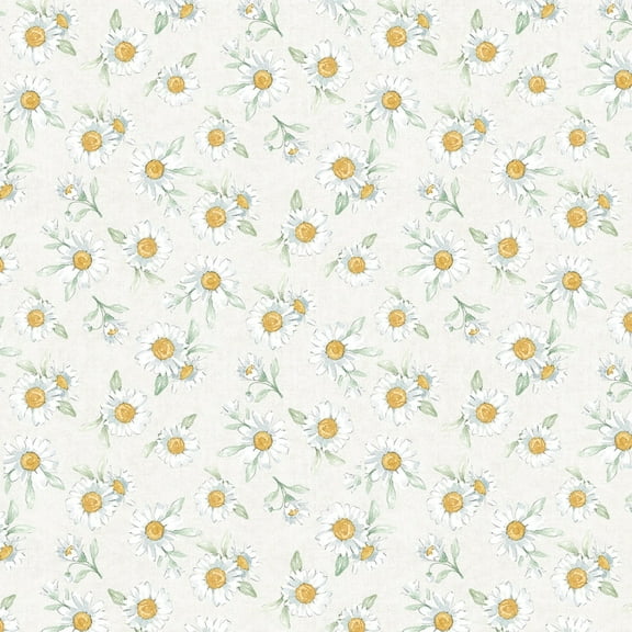 Daisy Days Cream Daisies
