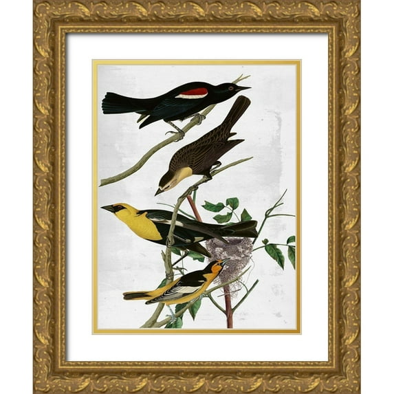 Sommers, Mindy 15x18 Gold Ornate Wood Framed with Double Matting Museum Art Print Titled - Birds