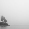 thumbnail image 2 of Colligan, Lynann 15x15 Gold Ornate Wood Framed with Double Matting Museum Art Print Titled - Foggy Coast 1, 2 of 4