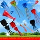 thumbnail image 1 of Software 3d Kite Dolphin 5,5 m Cometa versátil con cola sin esqueleto de pulpo, 1 of 5