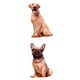 thumbnail image 1 of 2 Pieces Animals Dog Pattern Plush Throw Pillows Cushion Washable Sunnimix Arrojar la almohada, 1 of 8