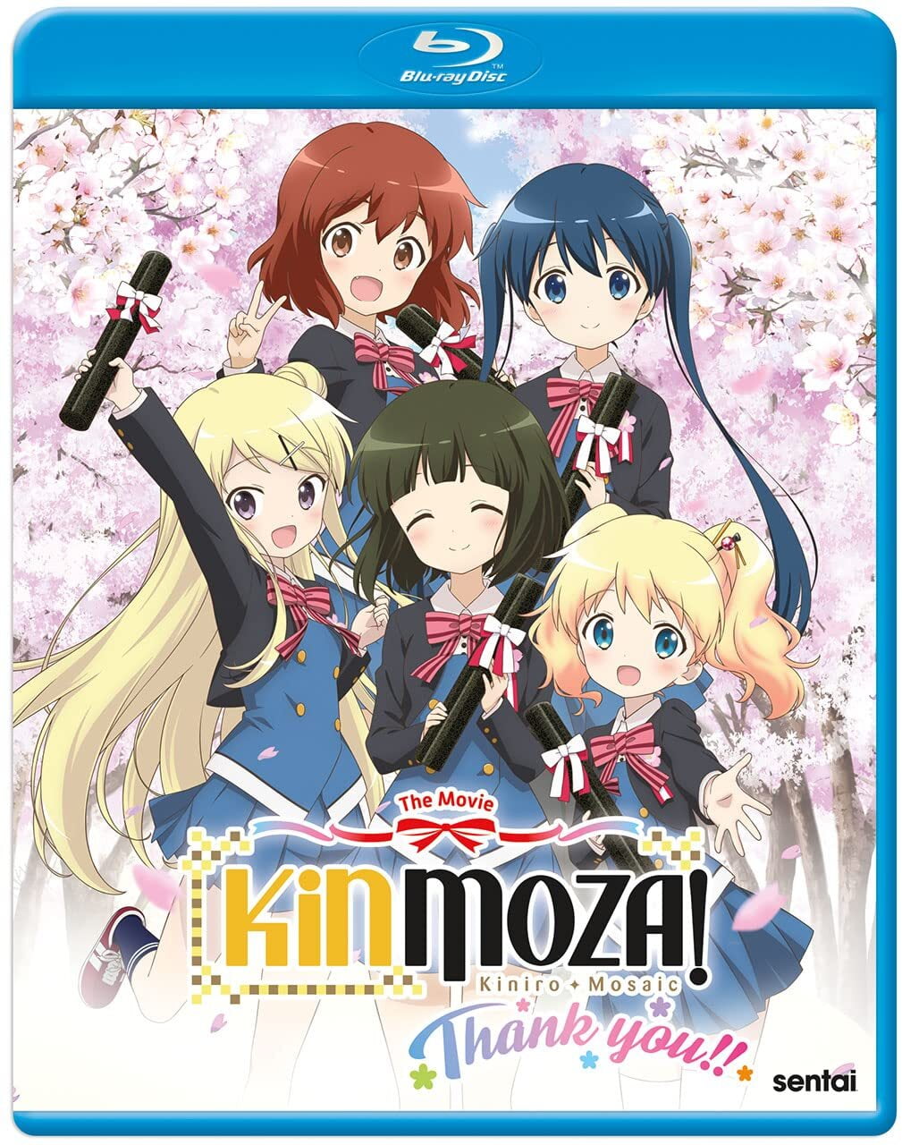 Gourmet Girl Graffiti (Blu-ray), Sentai, Anime - Walmart.com