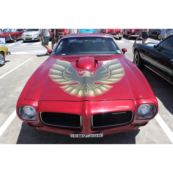 Wall Art Impressions 24x16in Photo Paper 1973 Pontiac Firebird Trans Am