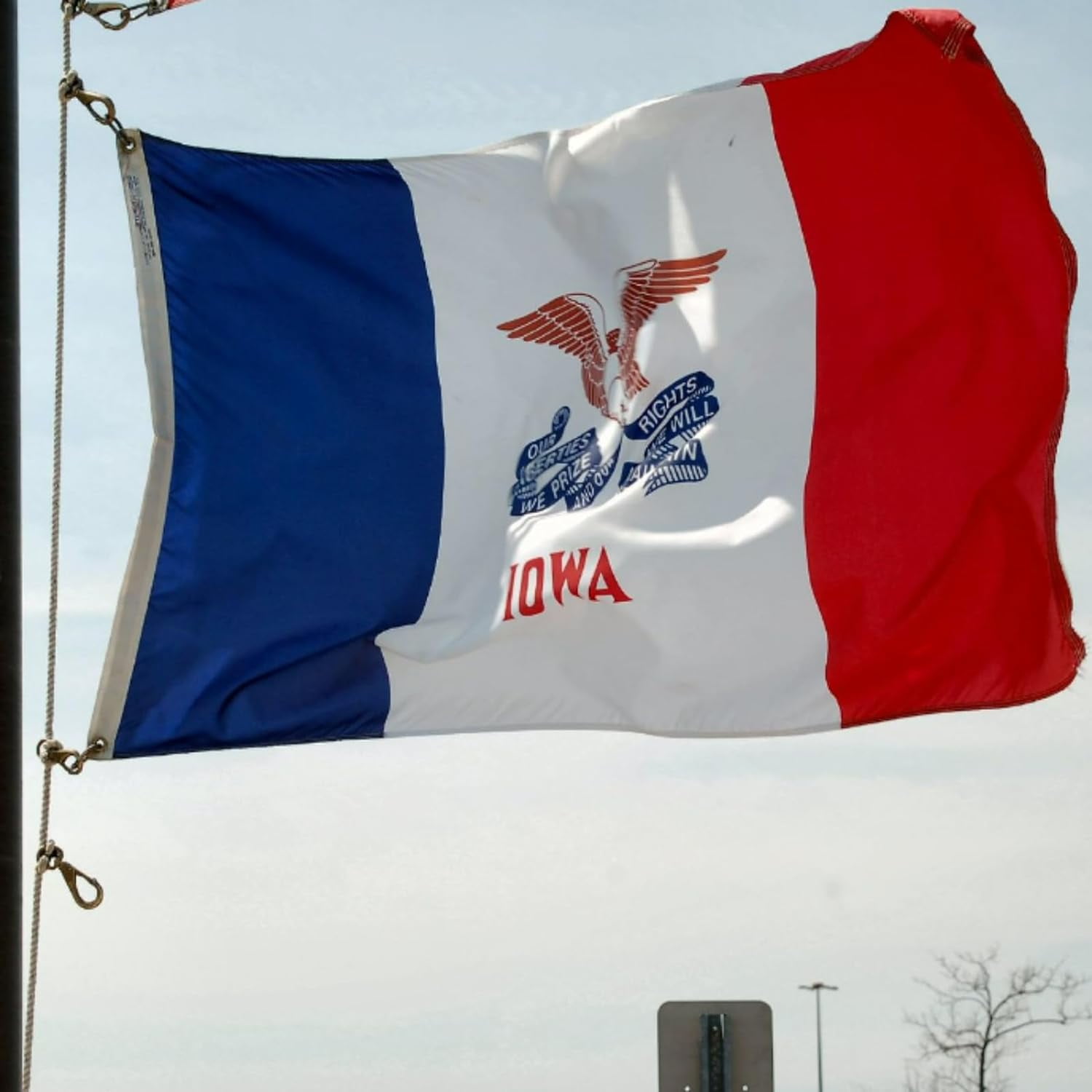 FLAGWIN Iowa Flag 3x5 FT - 3 Ply Double Sided Polyester Iowa State Flag with Brass Grommets - Vivid Color and Fade Proof State of Iowa Flag 3x5 Outdoor