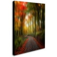 thumbnail image 2 of Trademark Fine Art "The Lost Path" Canvas Art by Philippe Sainte-Laudy, 2 of 3