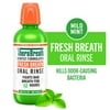 TheraBreath Fresh Breath Mouthwash, Mild Mint, Alcohol-Free Mouthwash for Adults, 16 fl oz