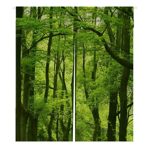 ABPHQTO Sueño increíble hermoso bosque verde fresco cortina de entrada cortinas japonesas Noren cortina de puerta cortina de entrada tamaño 105x120 CM ABPHQTO Noren-A170-105x120