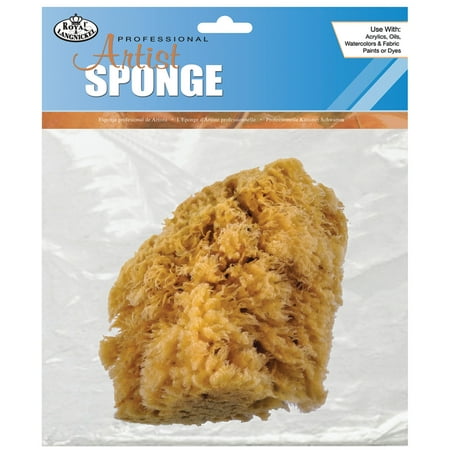 UPC: 0090672020949 | Royal Brush Artist s Sponge  Caribbean  Jumbo