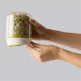 thumbnail image 4 of Kit de Croissance de Germes de Comptoir Réutilisable Système de Germination de Plantes de Cuisine Conteneur de Graines Fournitures, 4 of 7