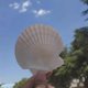 thumbnail image 2 of 10 Pieces White Scallop Shells 7-8cm 10 Shells Large Natural Beach Shells Can Make DIY Fish Tank Vase Filler 1704, 2 of 2
