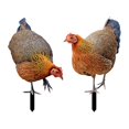 thumbnail image 3 of Figura decorativa de gallina para jardín, figura de animal, figura decorativa, arte de jardín realista Estilo B, 3 of 9