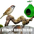 thumbnail image 4 of Alimentador de pájaros, casa de gorrión, nido de percha, nido de , casa de pájaros, nido de canarios para s al aire libre en el Verde DYNWAVEMX Comedero para pájaros, 4 of 8