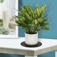 thumbnail image 2 of GOOHOCHY 6 posavasos de fieltro para plantas, platillos, macetas, almohadillas de fieltro redondas y absorbentes para interior y exterior., 2 of 7