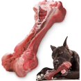 thumbnail image 1 of 2025 Latest Model Indestructible Dog Toy for Aggressive Chewers, Extreme Tough, 1 of 5