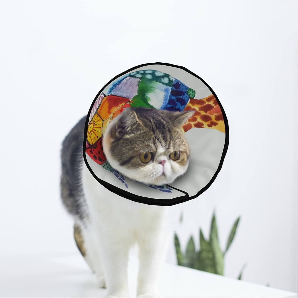 Marine Turtle Swims Soft Cat Dog Recovery Collar Adjustable Cat Cone Wound Healing Protective After Surgery for Cats