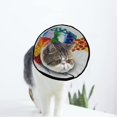 thumbnail image 1 of Marine Turtle Swims Soft Cat Dog Recovery Collar Adjustable Cat Cone Wound Healing Protective After Surgery for Pet Cone, 1 of 7