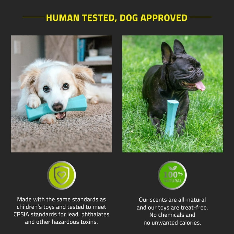 Playology Plush Bone Peanut Butter Scented Dog Toy – Petsense