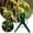 B, variant on 50 Pack Garden Twist Ties, 3cm Flexible Plant Clips for Supporting Vines, Stems, and Seedlings