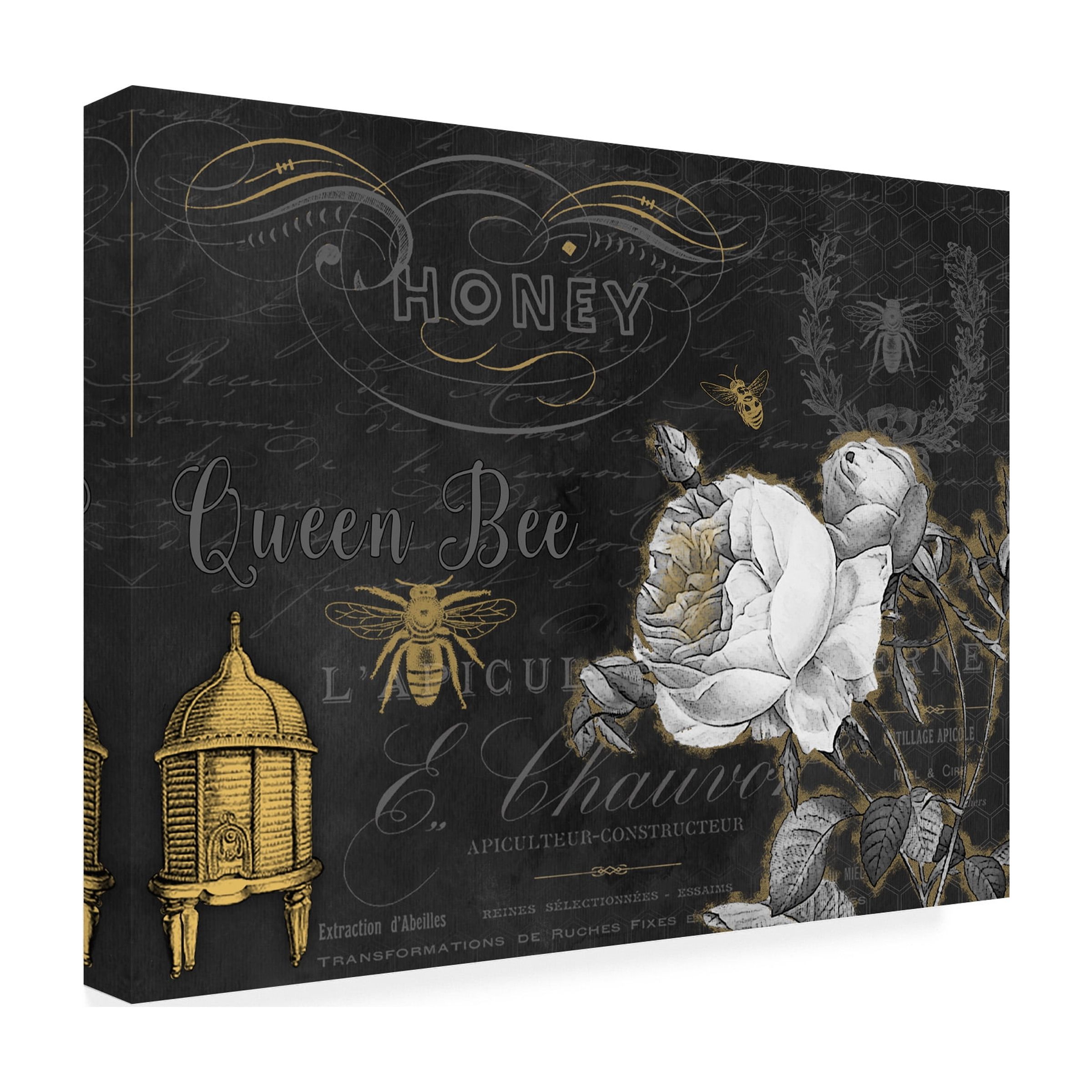 Trademark Fine Art 'Queen Bee 1' Canvas Art by Jean Plout