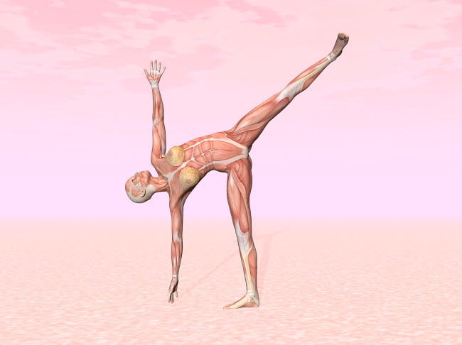 13+ Half Moon Yoga Pose Images Yoga Poses