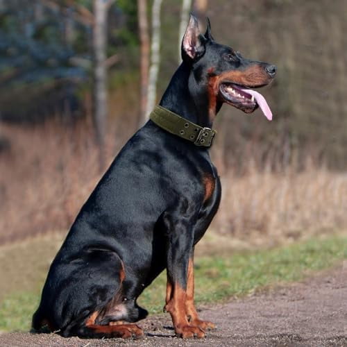 Heavy Duty Dog Collar for Large Dogs, Tactical Dog Collars with Metal Buckle & D Ring, 1.5" Width Thick Adjustable Nylon Collar for Medium Dogs, Army Green/XL
