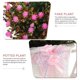 thumbnail image 3 of IDEANATEGRATE Planta Artificial Bonsái En Maceta Rosa Para Interior Y Oficina Sin Mantenimiento, 3 of 6