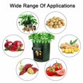 thumbnail image 4 of Matsuzay GAL Potato Grow Planter Contenedor Bolsa Bolsa Plant Growing Pot Ventana lateral Jardín y Patio No.2 Matsuzay HA026182-02, 4 of 6