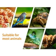 Haokaini Reptile Heat Lamp, Dual-UVA UVB Turtle Heat Lamp, 360° Dimmable Heat Lamp for Turtle Tank, Bearded Dragon Reptiles Turtle Lizard Snake